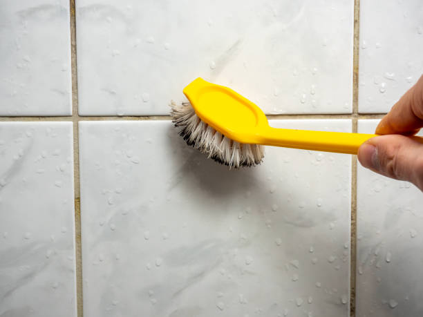 Best Professional Mold Removal  in Salina, KS