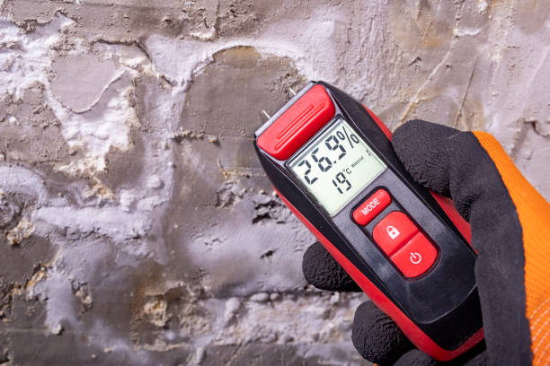 Certified Mold Removal in Salina, KS
